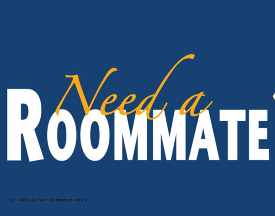 Need Roommate Near Houston AIG/Downtown